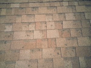 Hail Damaged Shingles