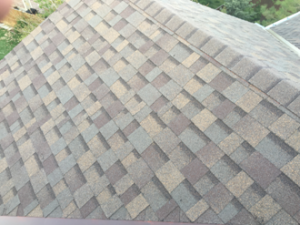 New Shingle Restoration